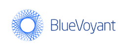 BlueVoyant