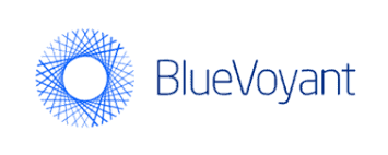 BlueVoyant